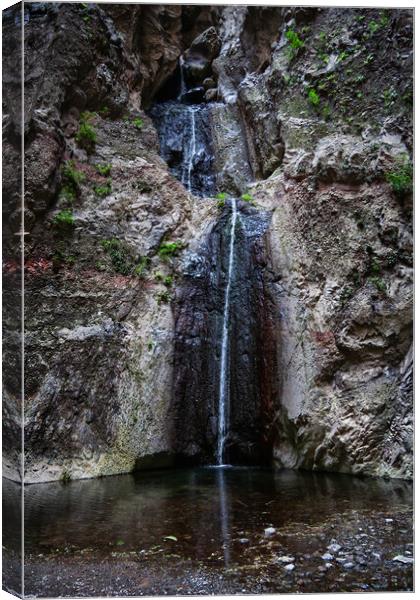 Waterfall in Barranco del Infierno Hell Gorge in Tenerife Canvas Print by Artur Bogacki