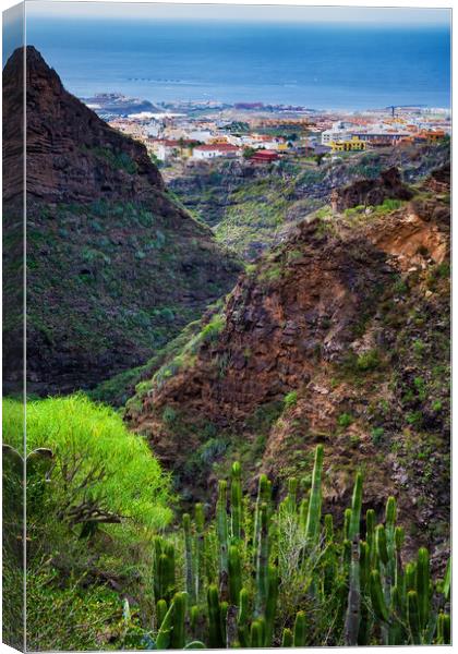 Barranco del Infierno Hell Gorge in Tenerife Canvas Print by Artur Bogacki