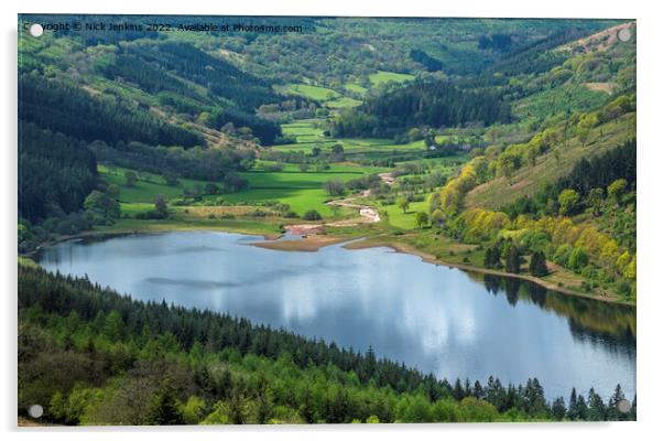 Looking down on Talybont Valley Brecon Beacons  Acrylic by Nick Jenkins