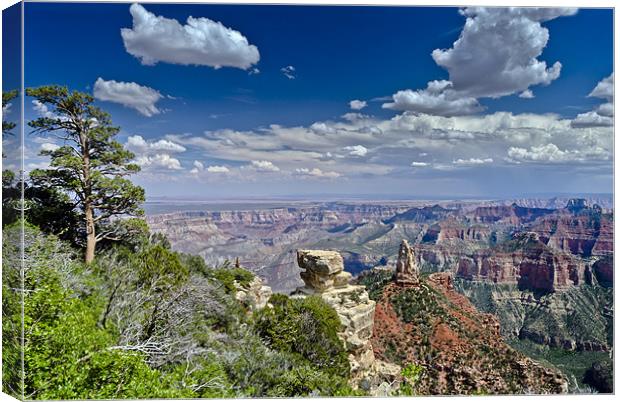 Mount Hayden from Point Imperial, Grand Canyon Canvas Print by Gary Eason