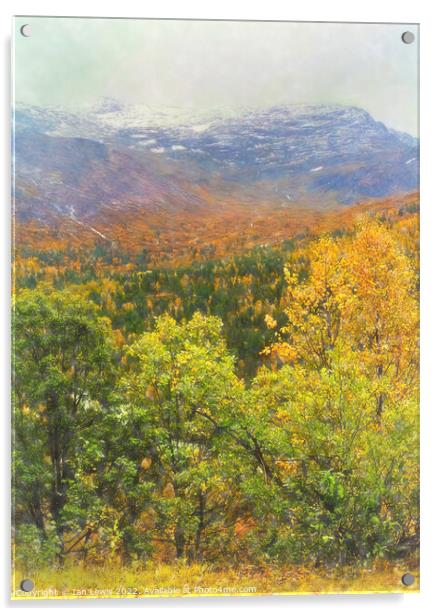 Autumnal Trees and Misty Mountains Acrylic by Ian Lewis
