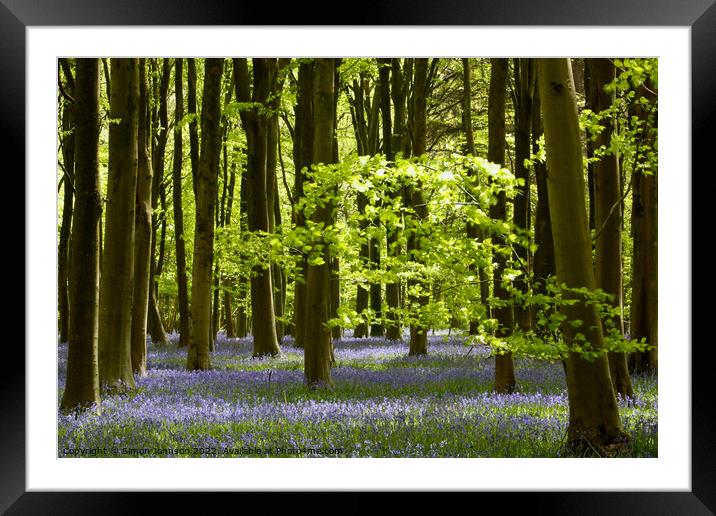 Sunlight in a bluebell Wood Framed Mounted Print by Simon Johnson