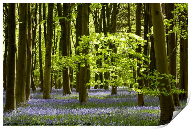 Sunlight in a bluebell Wood Print by Simon Johnson