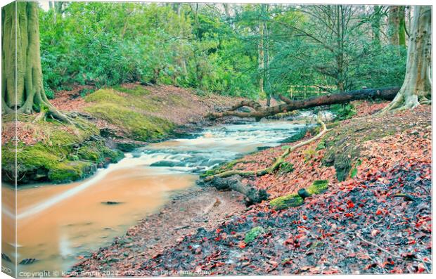 Arrowebrook Wirral Canvas Print by Kevin Smith