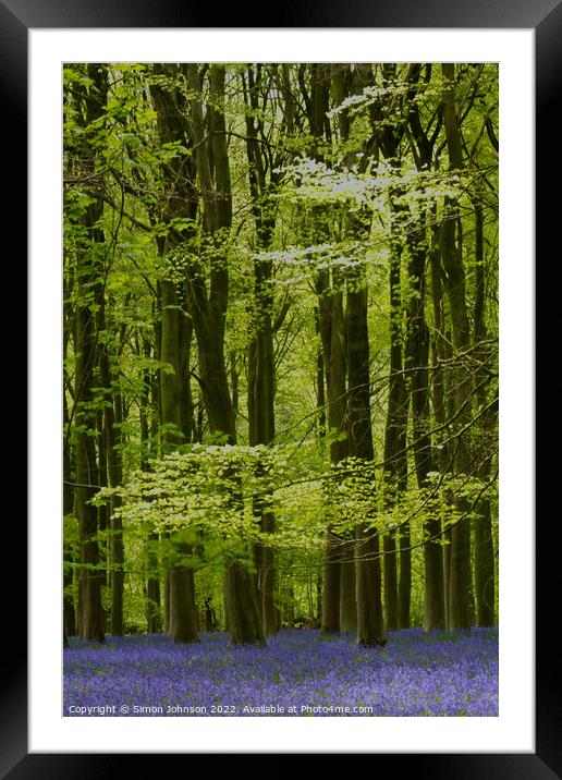Bluebells Wood Framed Mounted Print by Simon Johnson