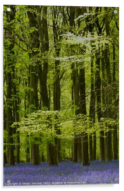 Bluebells Wood Acrylic by Simon Johnson