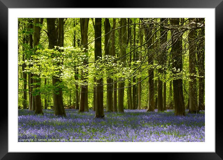 Bluebells  Framed Mounted Print by Simon Johnson