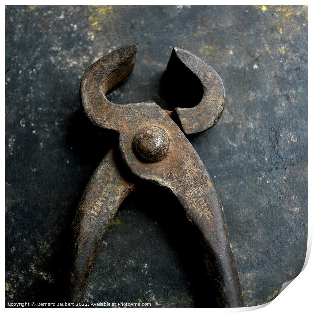 Closeup shot of rusted old nippers Print by Bernard Jaubert
