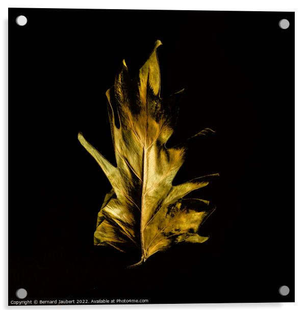 Dried autumn leaf  Acrylic by Bernard Jaubert