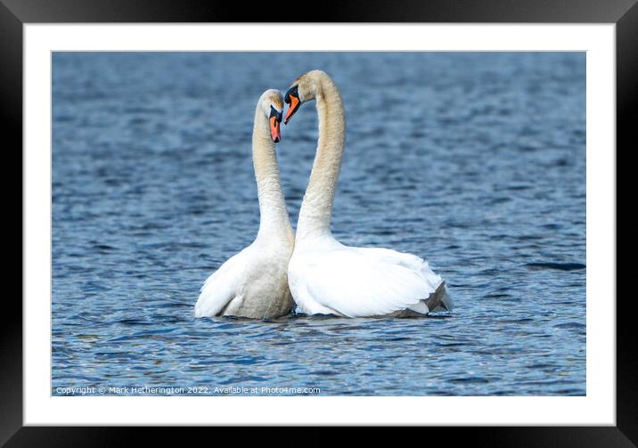 Love is in the air! Framed Mounted Print by Mark Hetherington