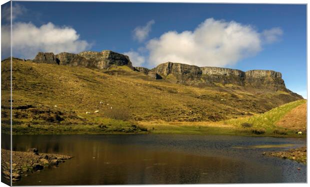 The Quiraing Canvas Print by Leighton Collins