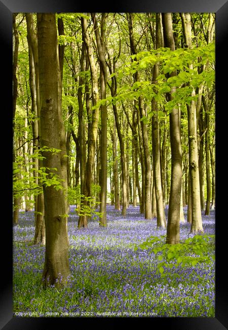 Plant tree Framed Print by Simon Johnson