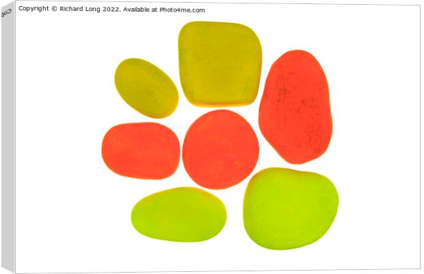 Painted Stones Canvas Print by Richard Long