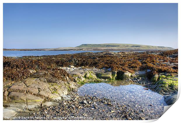 Guns Island, Ballyhornan, County Down Print by David McFarland