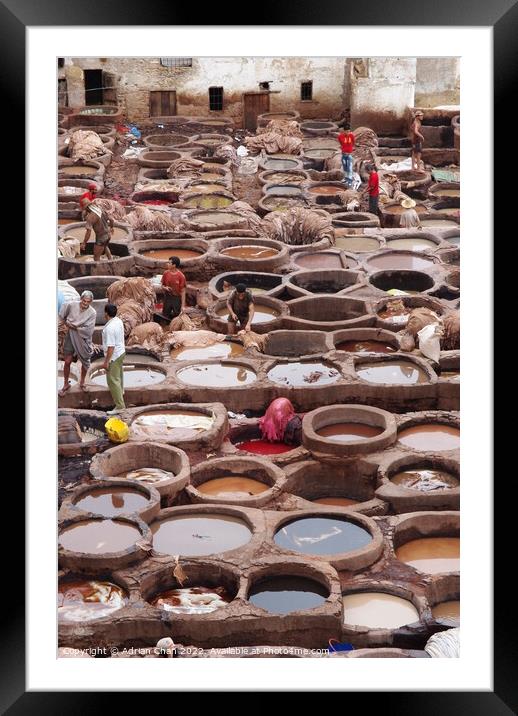 Men at work in the tannery, Fez, Morocco. Framed Mounted Print by Adrian Chan
