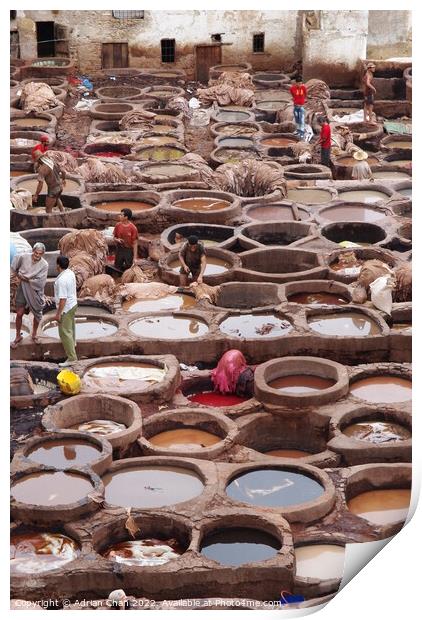 Men at work in the tannery, Fez, Morocco. Print by Adrian Chan