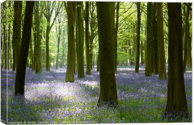 Plant tree Canvas Print by Simon Johnson