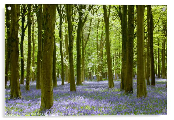 Bluebell Woodland   Acrylic by Simon Johnson