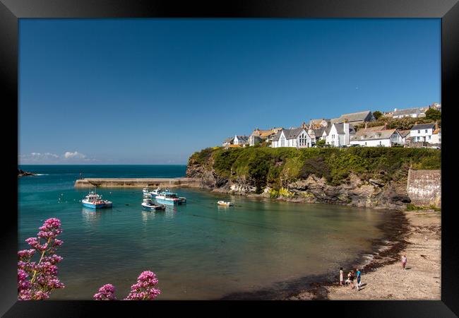 Serene Port Isaac Harbour Framed Print by Wendy Williams CPAGB