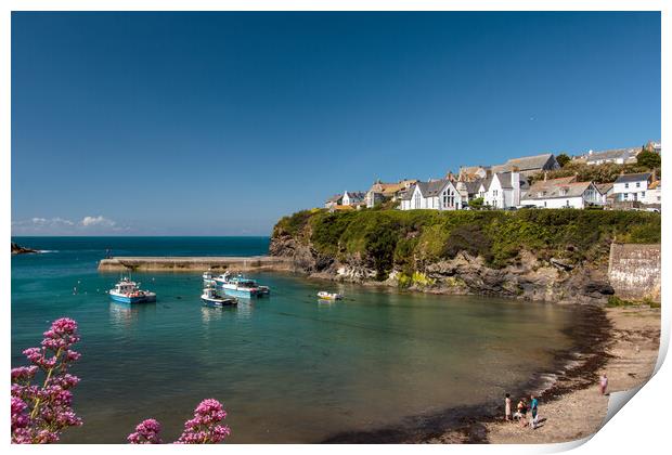 Serene Port Isaac Harbour Print by Wendy Williams CPAGB