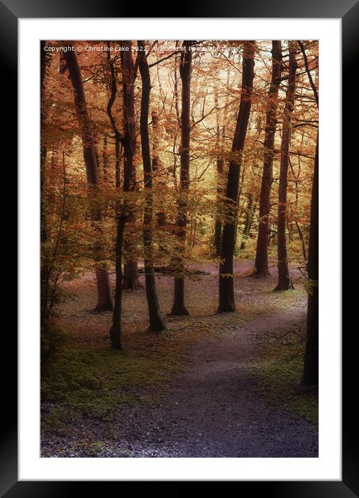 Autumn Magic Framed Mounted Print by Christine Lake