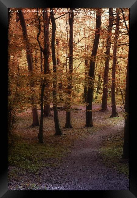 Autumn Magic Framed Print by Christine Lake
