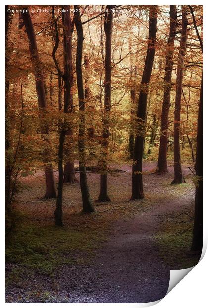 Autumn Magic Print by Christine Lake