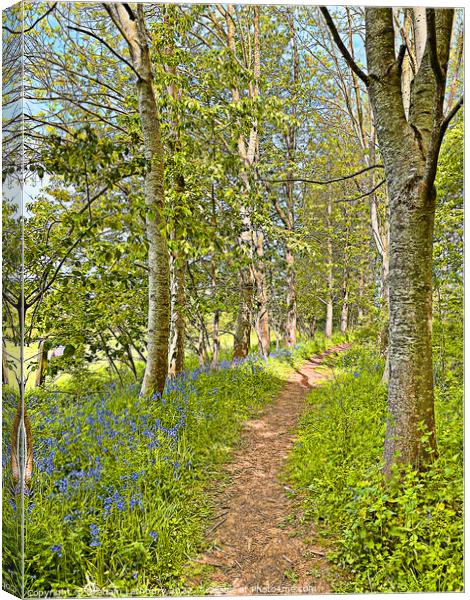 Bluebell Path Canvas Print by Graham Lathbury