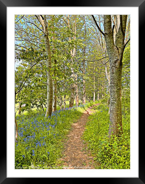 Bluebell Path Framed Mounted Print by Graham Lathbury