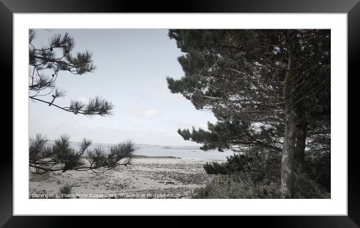 Secluded Beach on Guernsey  Framed Mounted Print by Elaine Anne Baxter