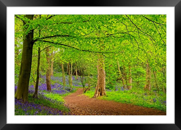 A Stroll through the Bluebells Framed Mounted Print by Martyn Arnold