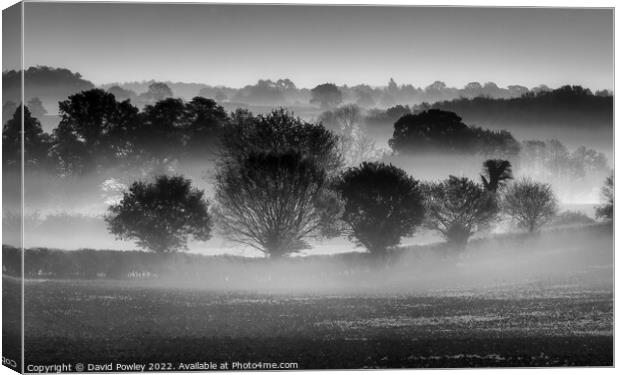 Misty Morning Over the Norfolk Countryside  Canvas Print by David Powley