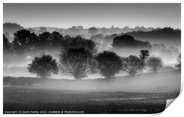 Misty Morning Over the Norfolk Countryside  Print by David Powley