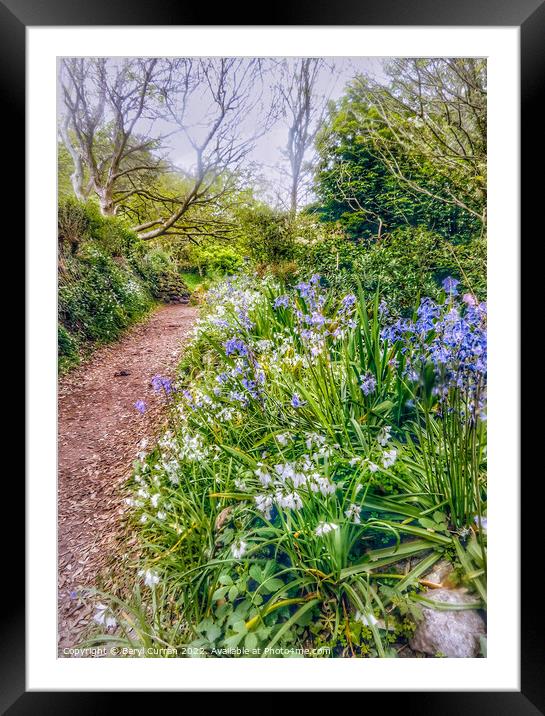 Enchanting Springtime Woods Framed Mounted Print by Beryl Curran