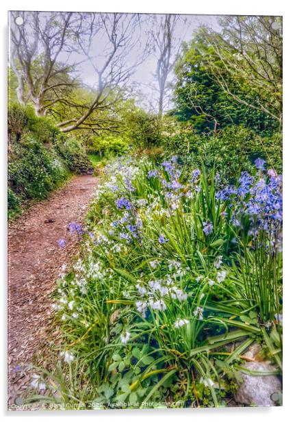 Enchanting Springtime Woods Acrylic by Beryl Curran