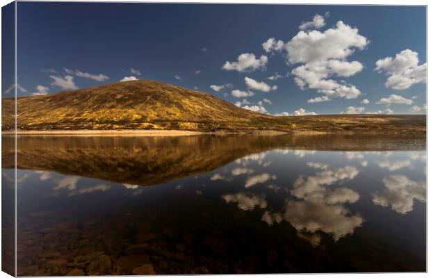 Perfect Loch reflection Canvas Print by Leighton Collins
