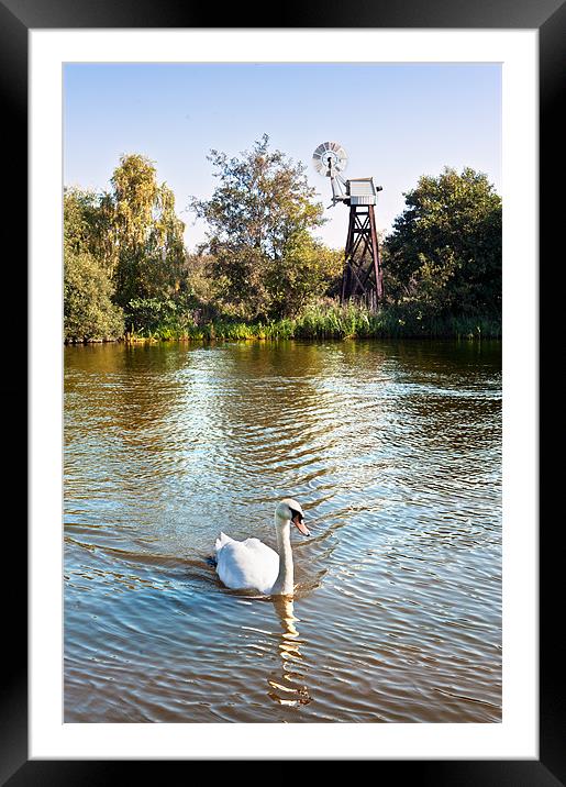 Swan mill Framed Mounted Print by Stephen Mole
