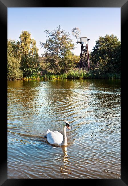 Swan mill Framed Print by Stephen Mole