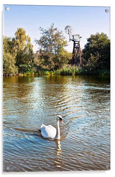 Swan mill Acrylic by Stephen Mole