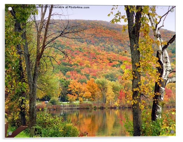 Fall colors Acrylic by Donna Duclos