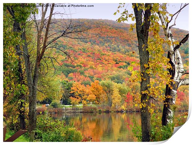 Fall colors Print by Donna Duclos