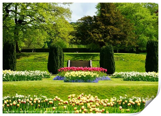 Lyme Park gardens Print by andrew copley