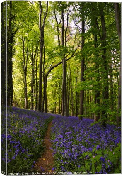 A walk in the bluebells Canvas Print by Ann Biddlecombe