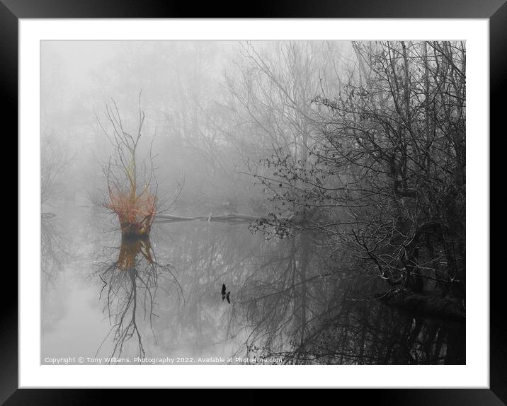 Misty morning by the lake Framed Mounted Print by Tony Williams. Photography email tony-williams53@sky.com