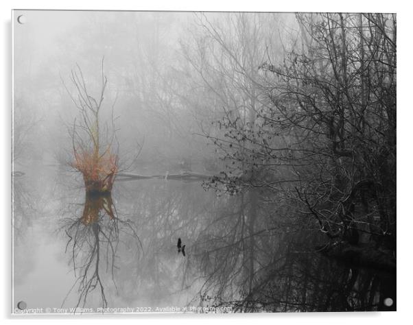 Misty morning by the lake Acrylic by Tony Williams. Photography email tony-williams53@sky.com