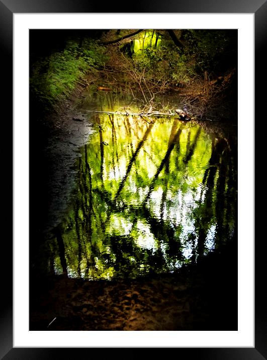 The softness of water and the light. Framed Mounted Print by Steve Taylor