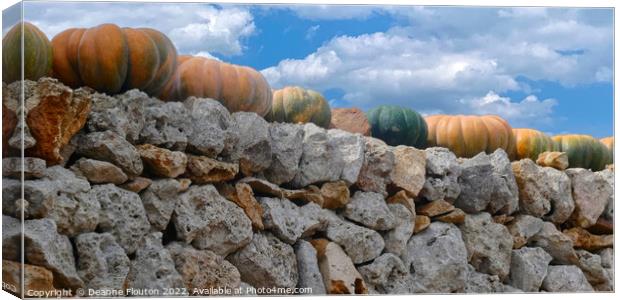 Harvest Bounty on Ancient Wall Menorca Canvas Print by Deanne Flouton