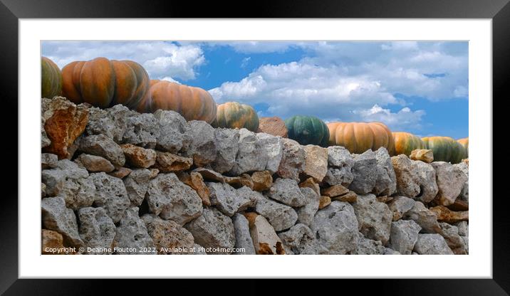Harvest Bounty on Ancient Wall Menorca Framed Mounted Print by Deanne Flouton