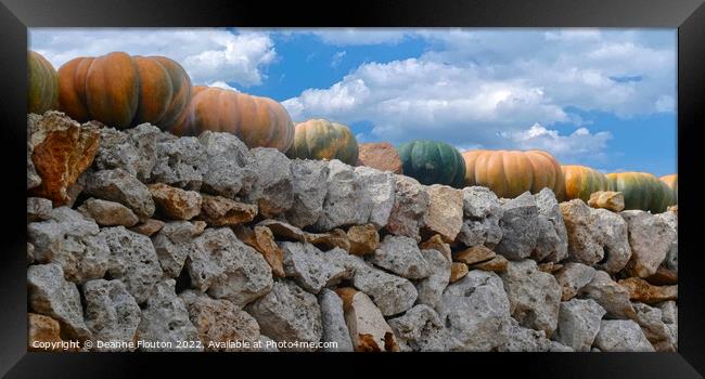 Harvest Bounty on Ancient Wall Menorca Framed Print by Deanne Flouton