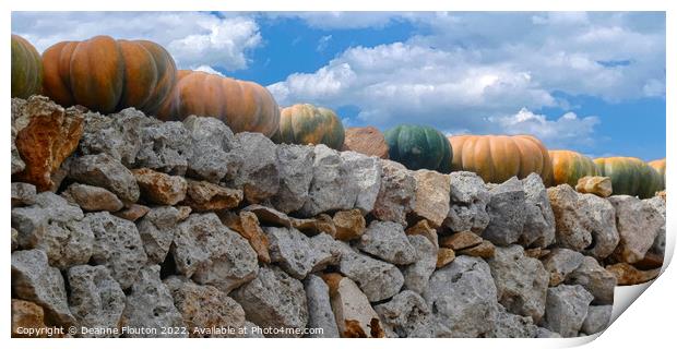 Harvest Bounty on Ancient Wall Menorca Print by Deanne Flouton
